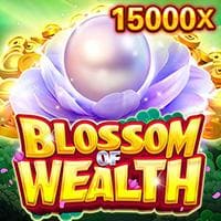 Blossom Wealth